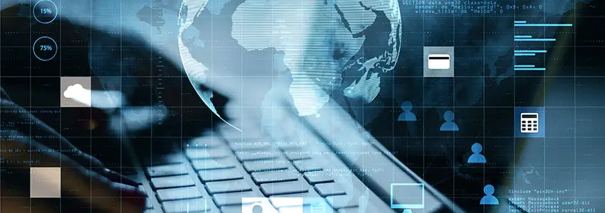 Custom Web Applications and Custom PHP Scripts