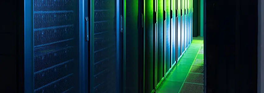 Custom Web Design and Development Services