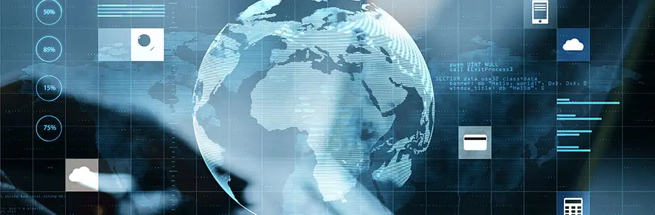 Custom Web Applications