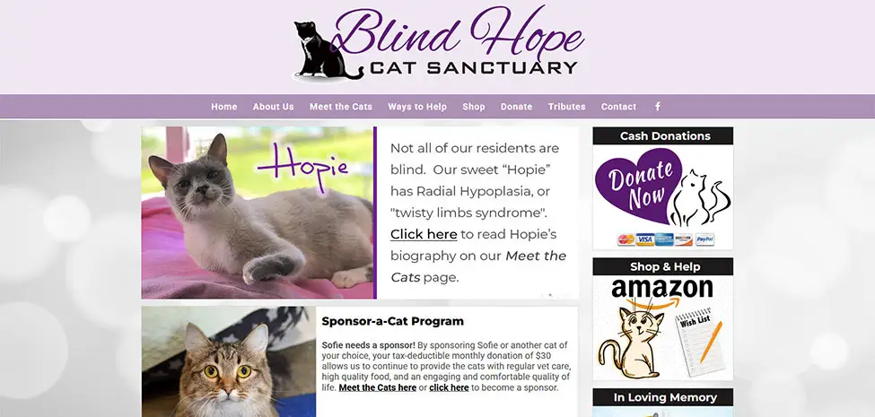 Blind Hope Cat Sanctuary